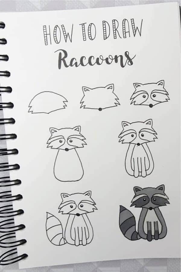 How To Draw Raccoons