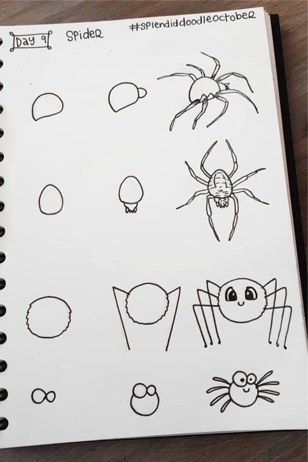 Spider Doodles