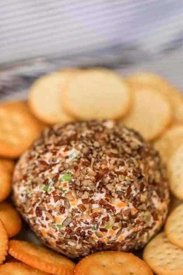 GARLIC AND ONION CHEDDAR CHEESE BALL