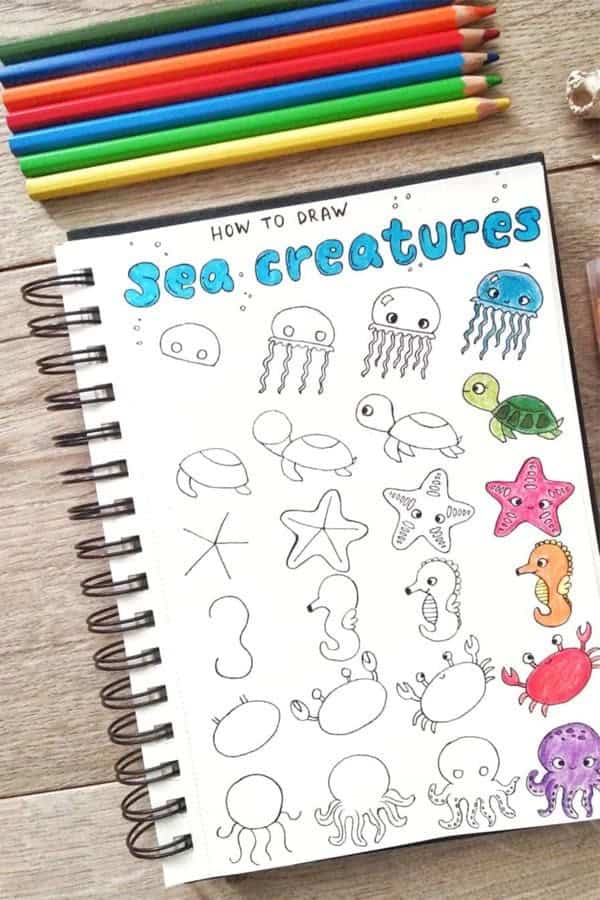 How To Draw Sea Creatures