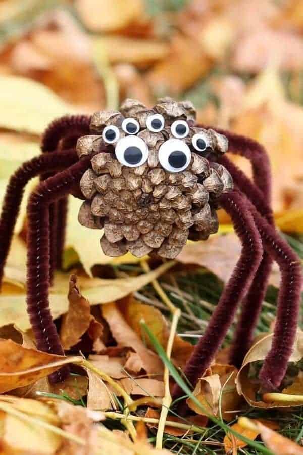 PINE CONE SPIDERS