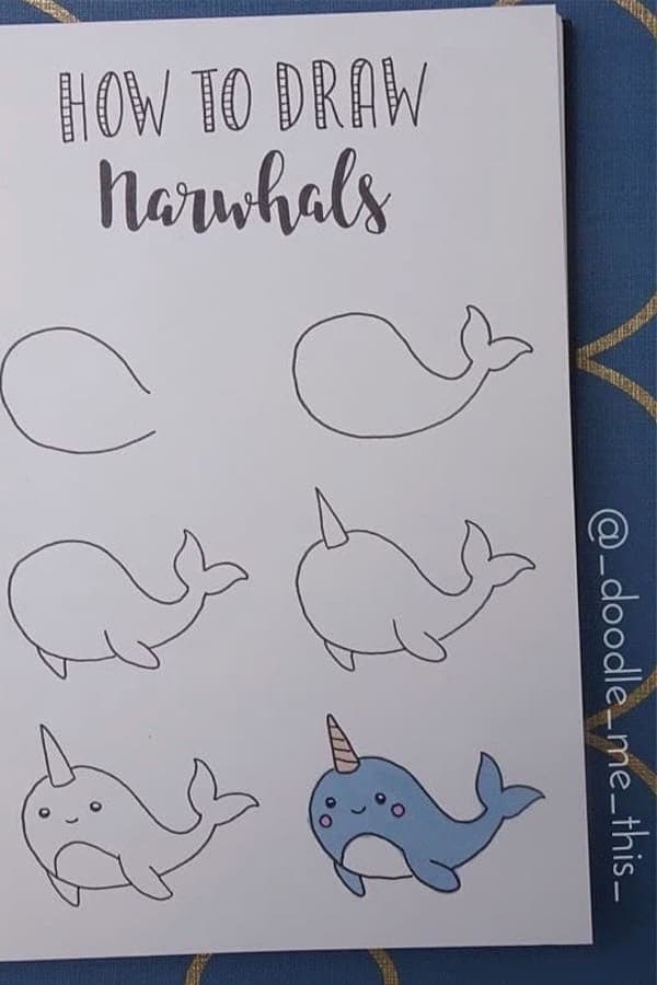 Step By Step Narwhals