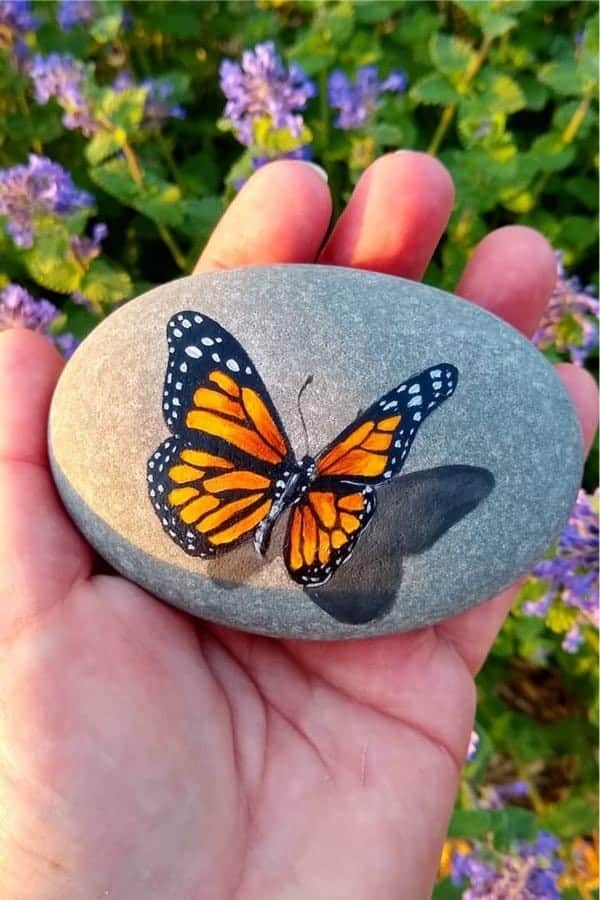 Realistic Butterly Rock Painting