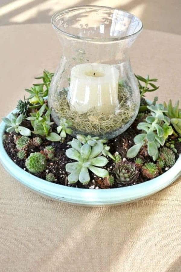 SUCCULENT CANDLE PLANTER