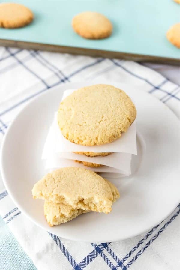 The Best Low Carb Pudding Cookies