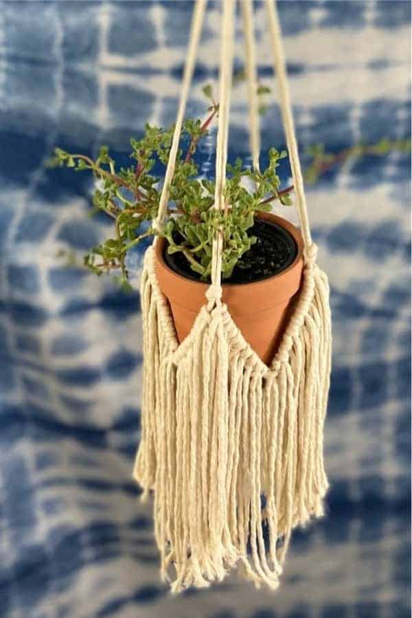 Simple Rope Plant Hanger DIY