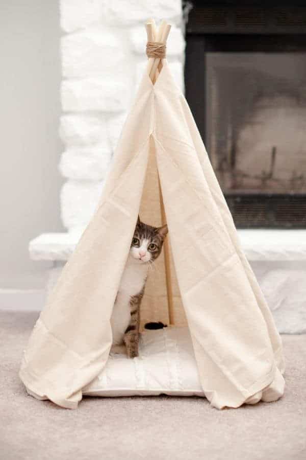 PET TEEPEE