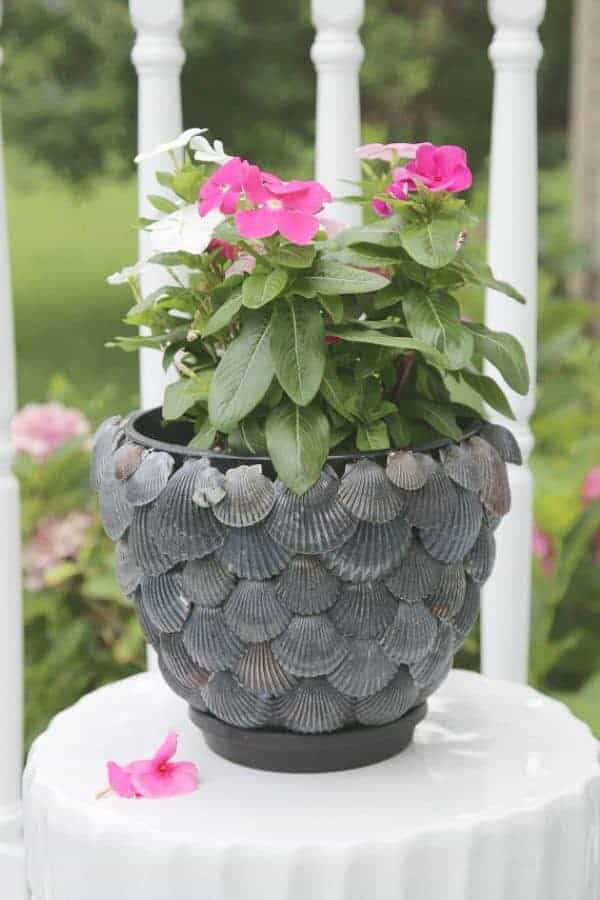 SEASHELL PLANTERS