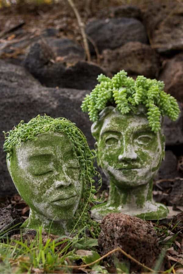 Creative DIY Head Planters