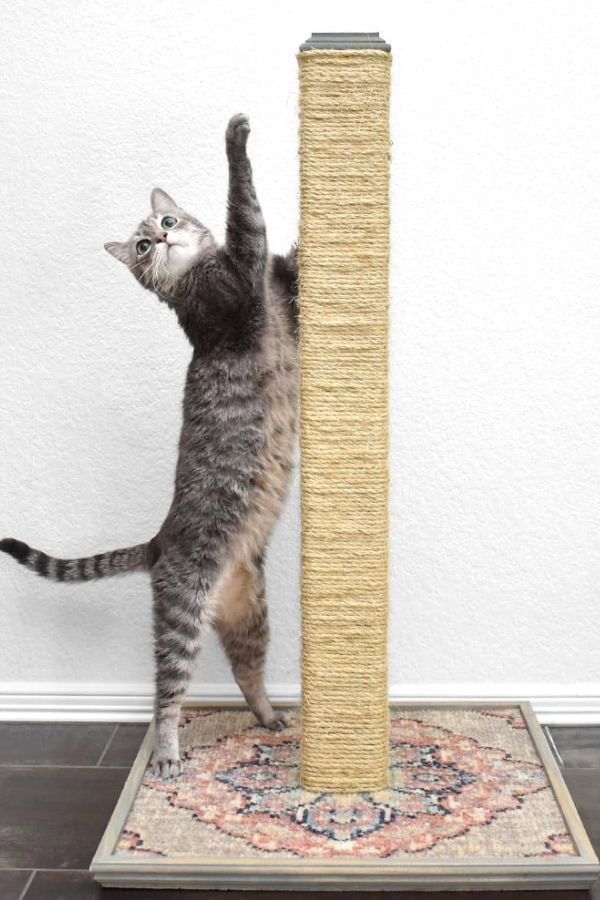 DIY CAT SCRATCHING POST