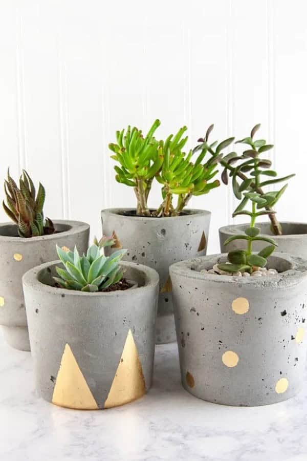 Make Concrete & Gold DIY Plant Pots