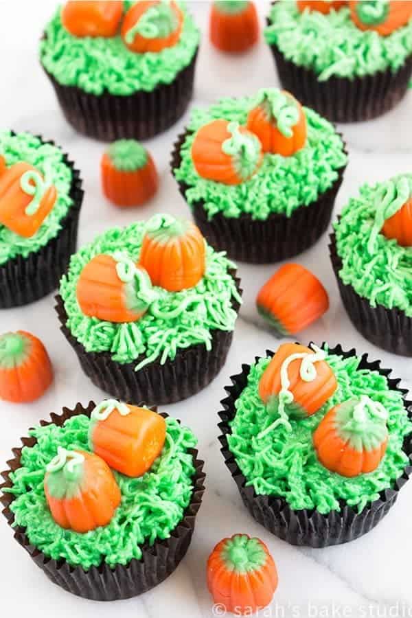 Pumpkin Patch Thanksgiving Cupcakes