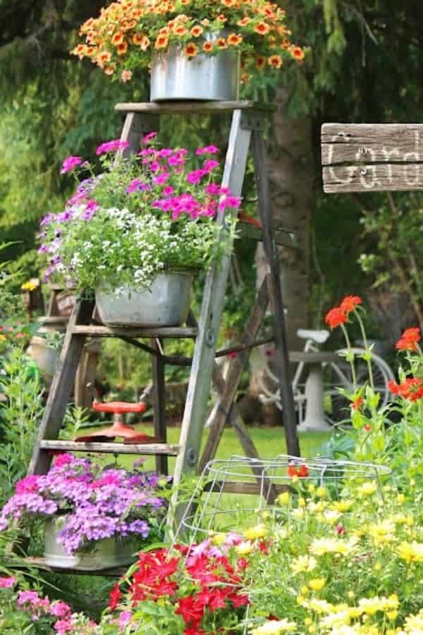 GARDEN LADDER PLANTER