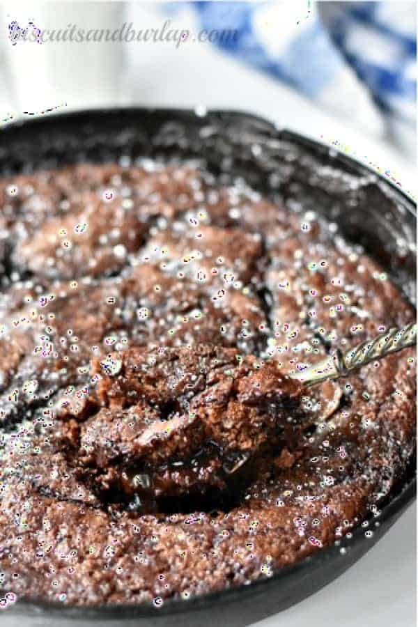 Iron Skillet Hot Fudge Pudding Cake