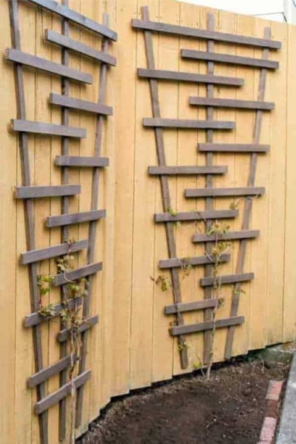 Rustic Garden Trellis