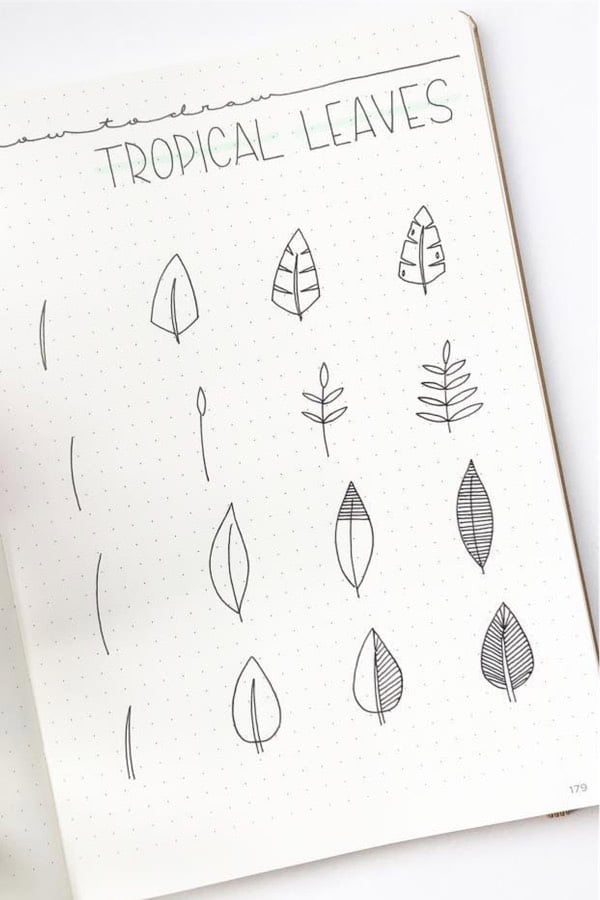 Tropical Leaf Step By Step Doodles