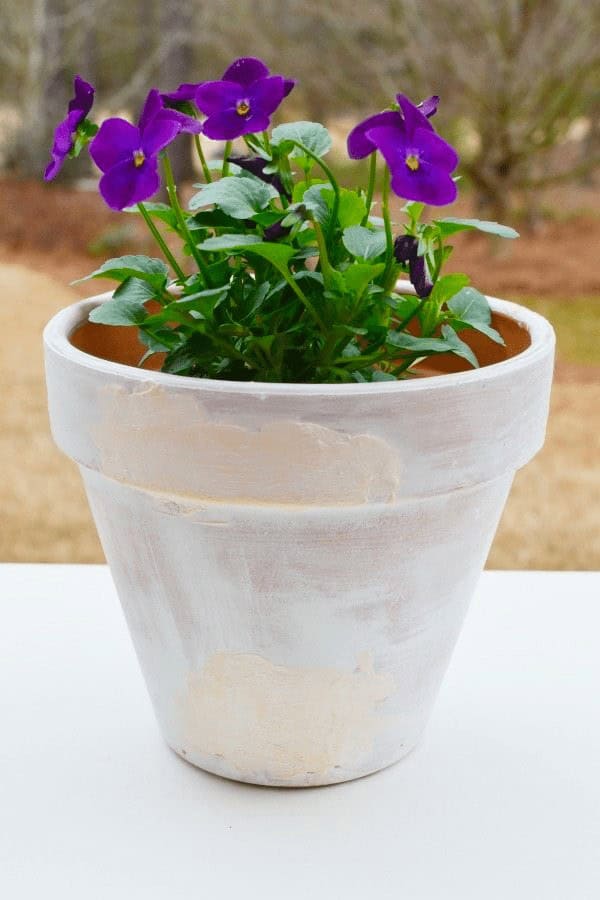 Aged Clay Pots