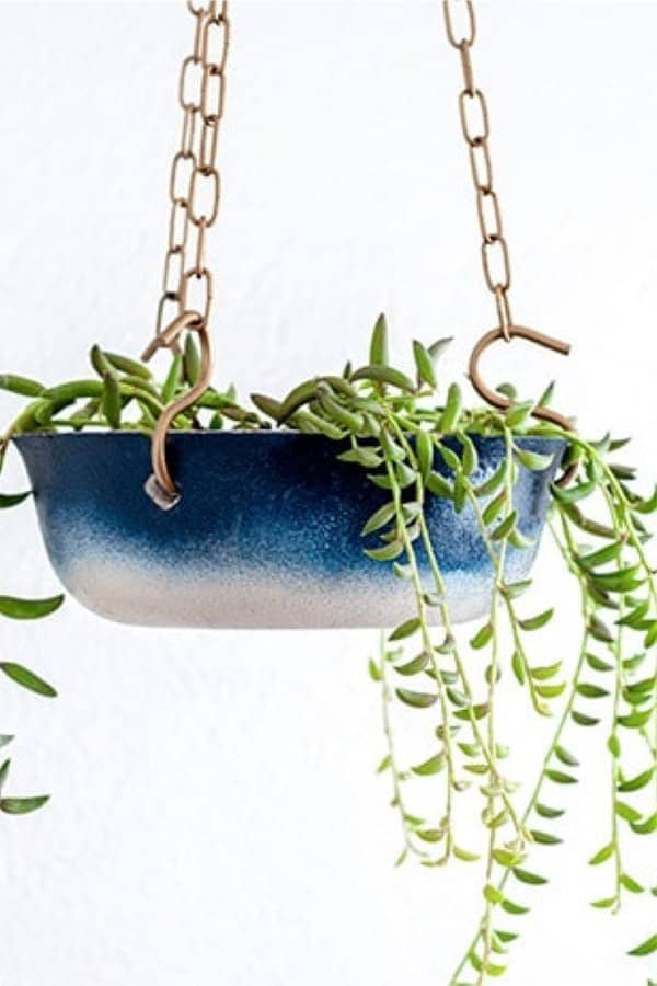 DIY Hanging Ombre Plant Holder