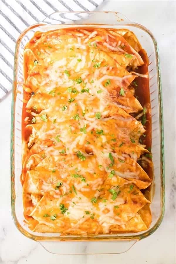 Shredded Chicken Enchiladas