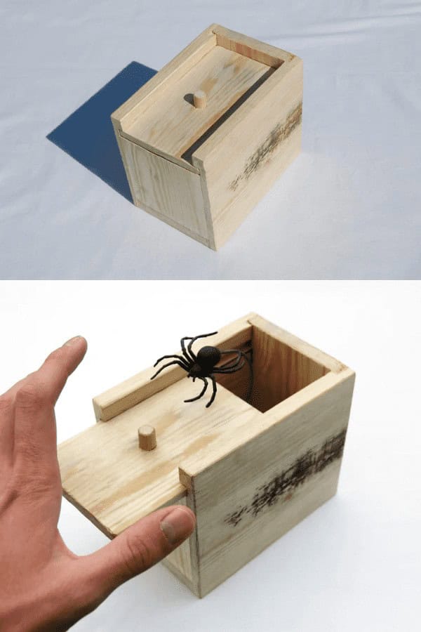 Spider Box