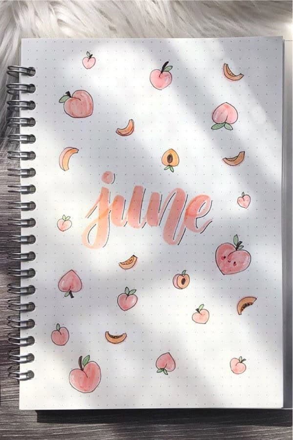 Pastel Peach Bujo Cover