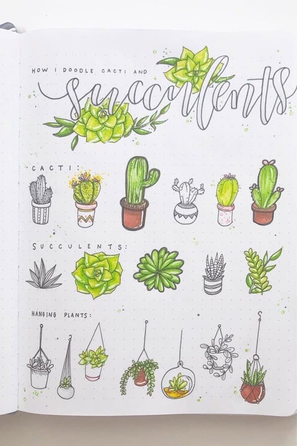 Succulent Doodle Ideas