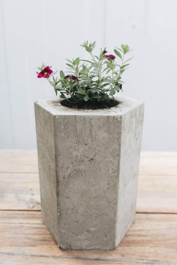 Easy DIY Cement Planters