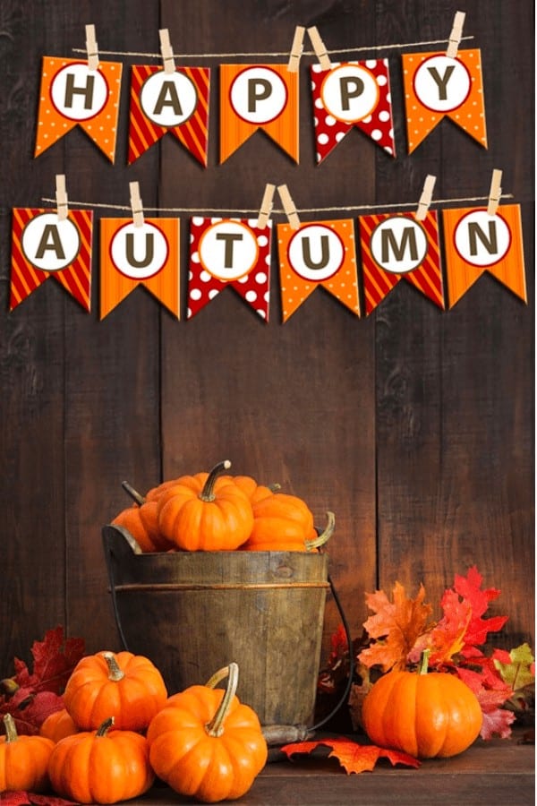 Happy Autumn Bunting Banner