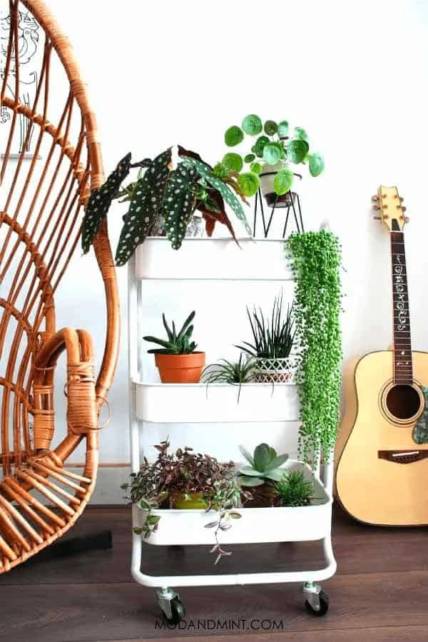 Bar Cart Plant Shelf