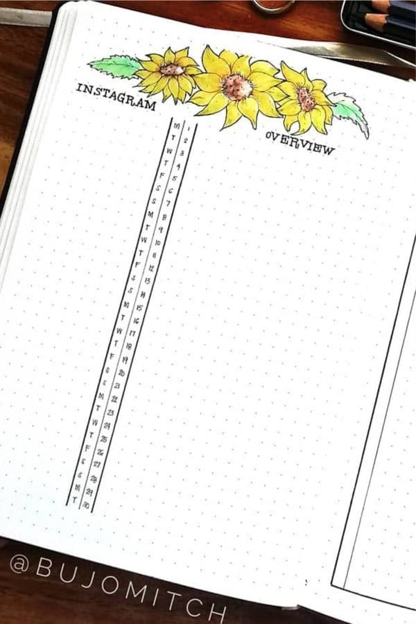 Sunflower Instagram Tracker