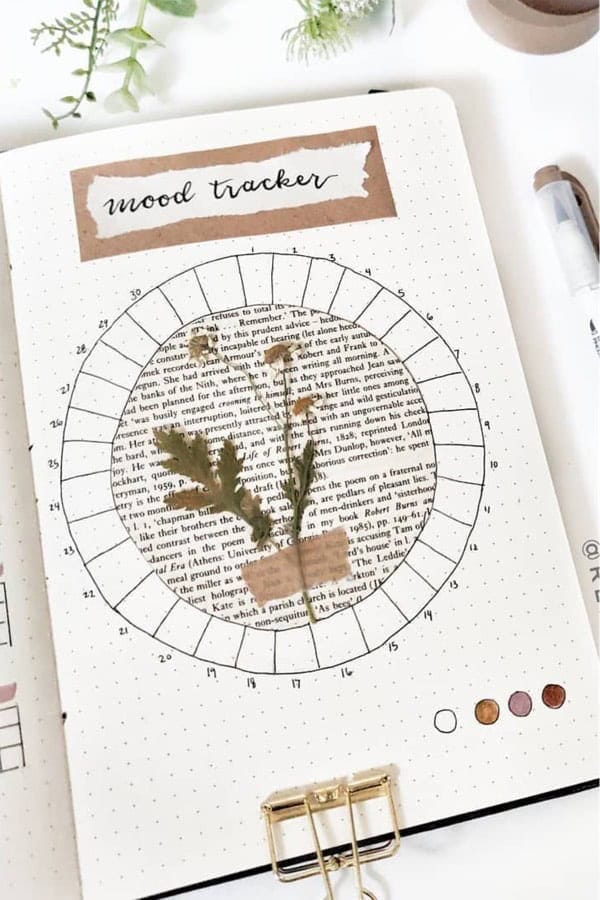 Circle November Tracker