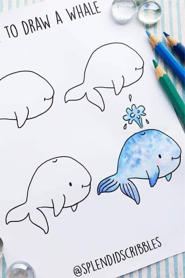 Cute Whale Doodle