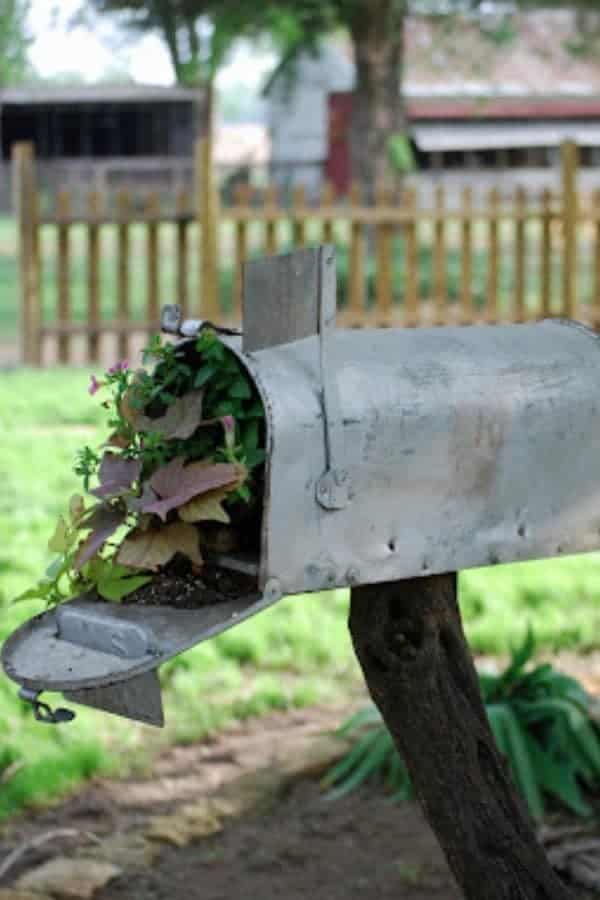 RUSTIC MAILBOX PLANTER