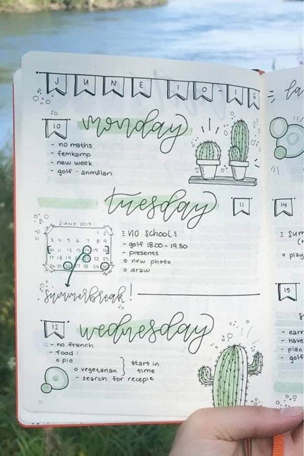 Light Green Cactus Theme