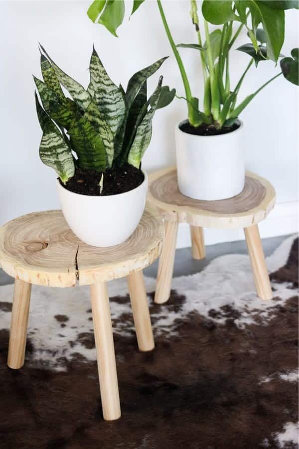 Indoor Plant Stands From Wood