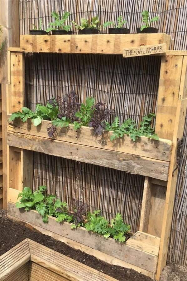 DIY Pallet Salad Bar