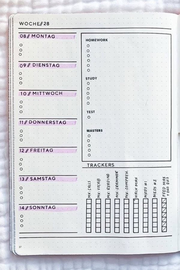 Neat Weekly Spread