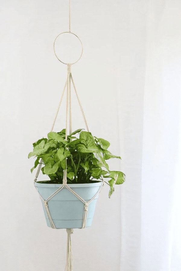 Hanging Macrame Planter