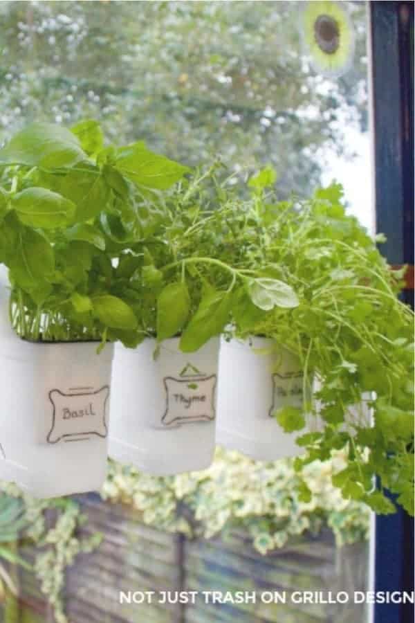 Indoor Recycled Bottle Herb Garden