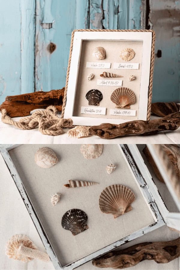 Seashell Shadowbox