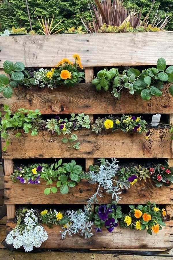 Pallet Wood For Vertical Garden