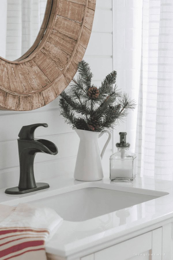 Pine Branches on Vase