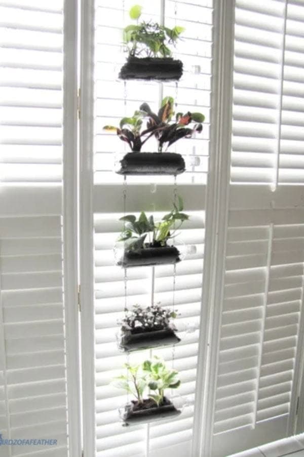 PLASTIC BOTTLE VERTICAL GARDEN