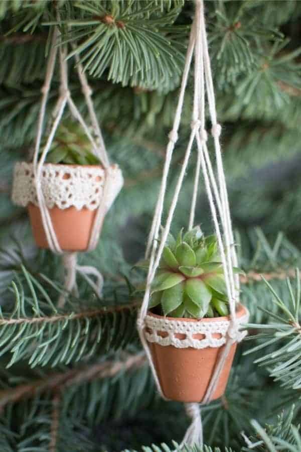 Mini Succulent Pots