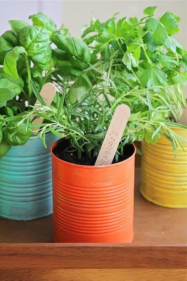 Make Your Own Indoor Herb Garden