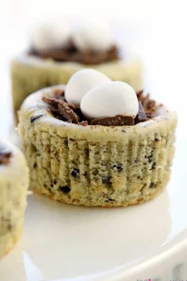 Bird’s Nest Mini Oreo Cheesecakes