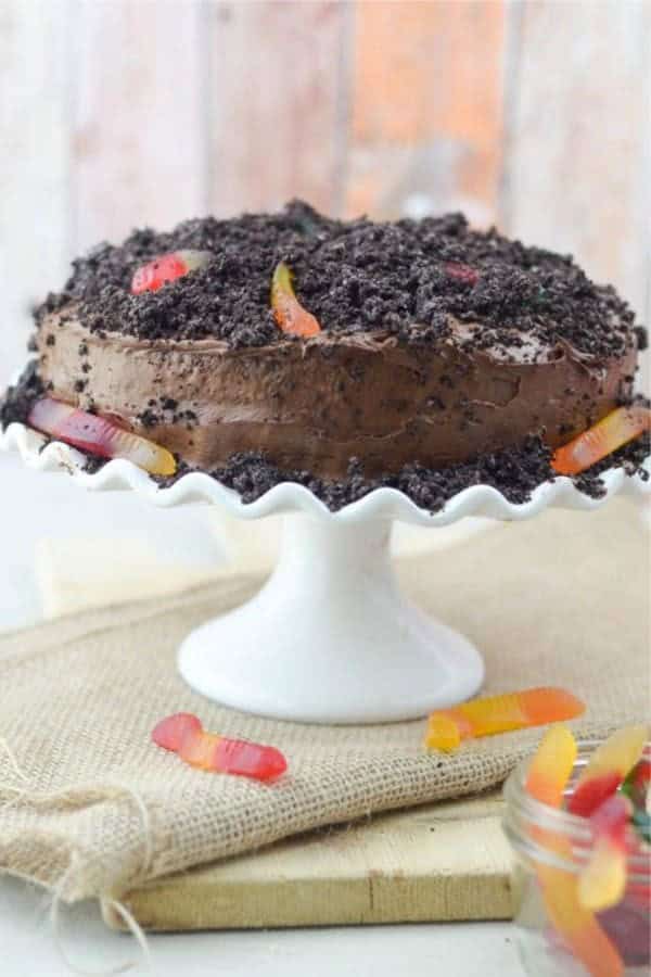 Dirt Worm Cake