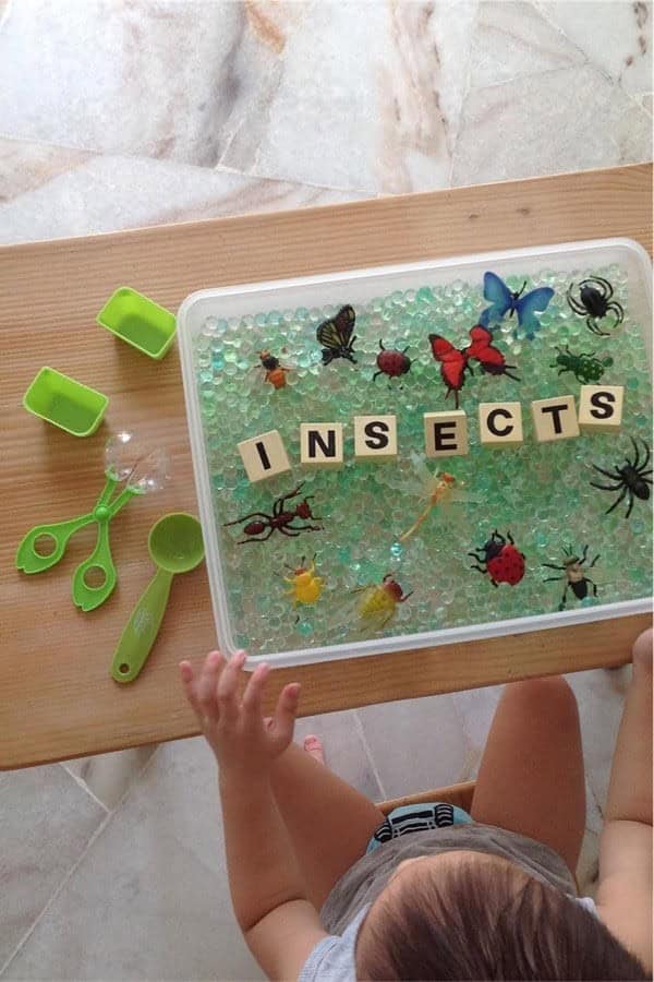 Insect Themed Sensory Bin For Toddlers