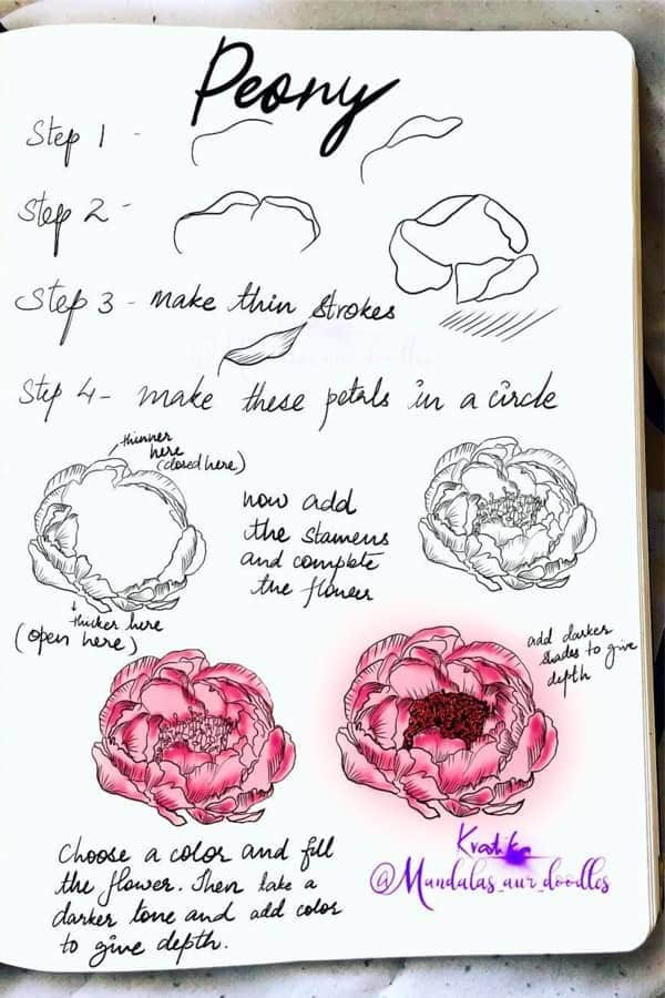 How To Draw A Peony