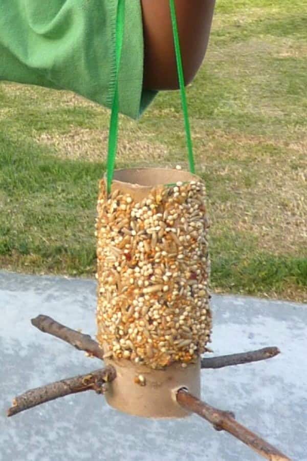 Toilet Paper Roll Bird Feeder